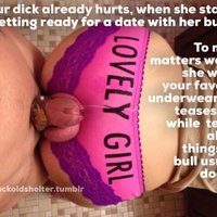  Ass Chastity Cuckold  pics