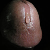  Penis Precum Solo Male  pics