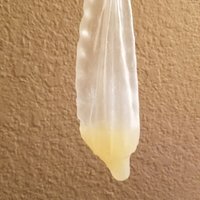  Amateur Condom Cum  pics