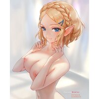  Big Tits Hentai Zelda  pics