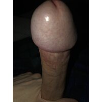  Cock Horny Penis  pics