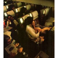  Airplane Sex Public  pics