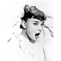  Audrey Hepburn Black And Classic  pics