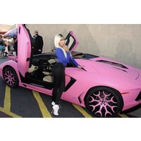  Car Celebrity Nicki Minaj  pics