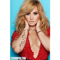  Celebrity Demi Lovato Non Nude  pics