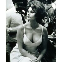  Non Nude Sophia Loren Vintage  pics