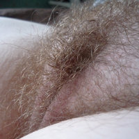  Hairy Hairy Babes Hairy Porn  pics