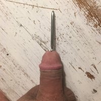  Amateur Bdsm Penis  pics