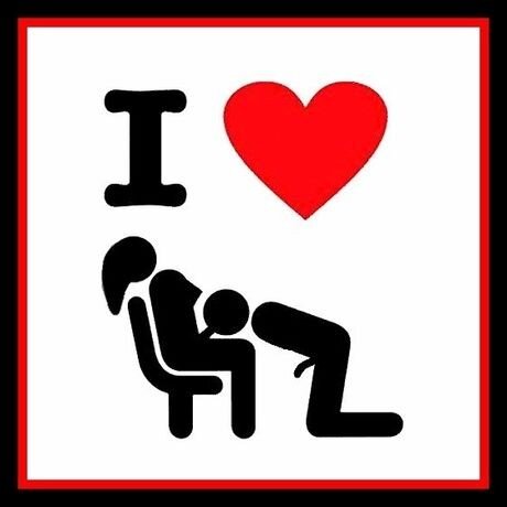 아픈 수탉 picture