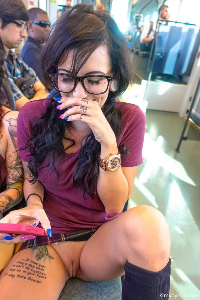 在火车上的热猫偷看。 picture