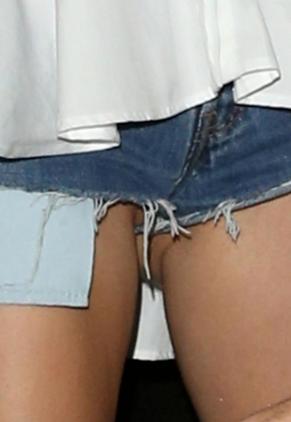 麦莉·赛勒斯的猫咪照片完整集 picture