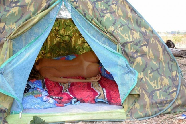acampamento..。 picture