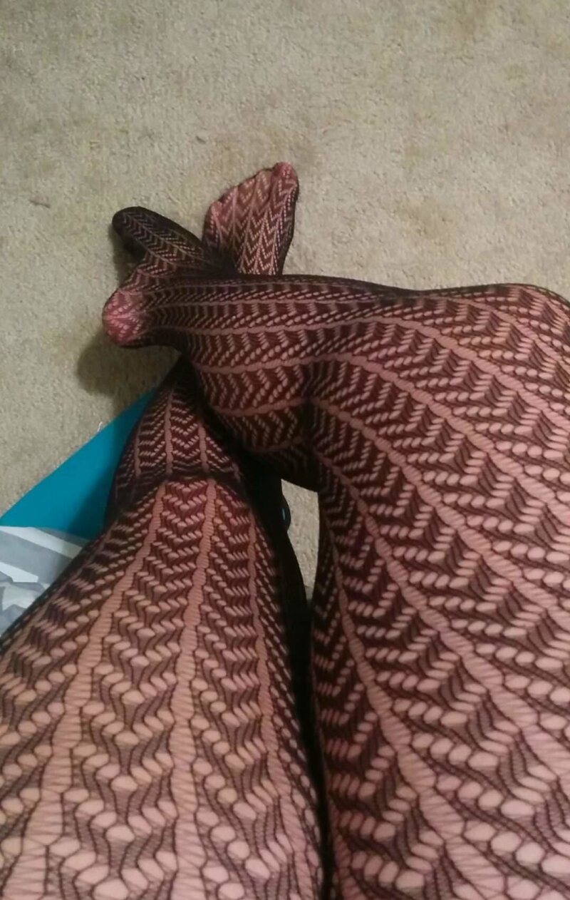 ガールフレンドホース picture