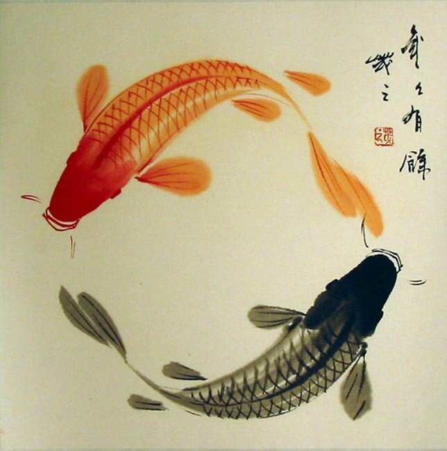 Koi cicle picture