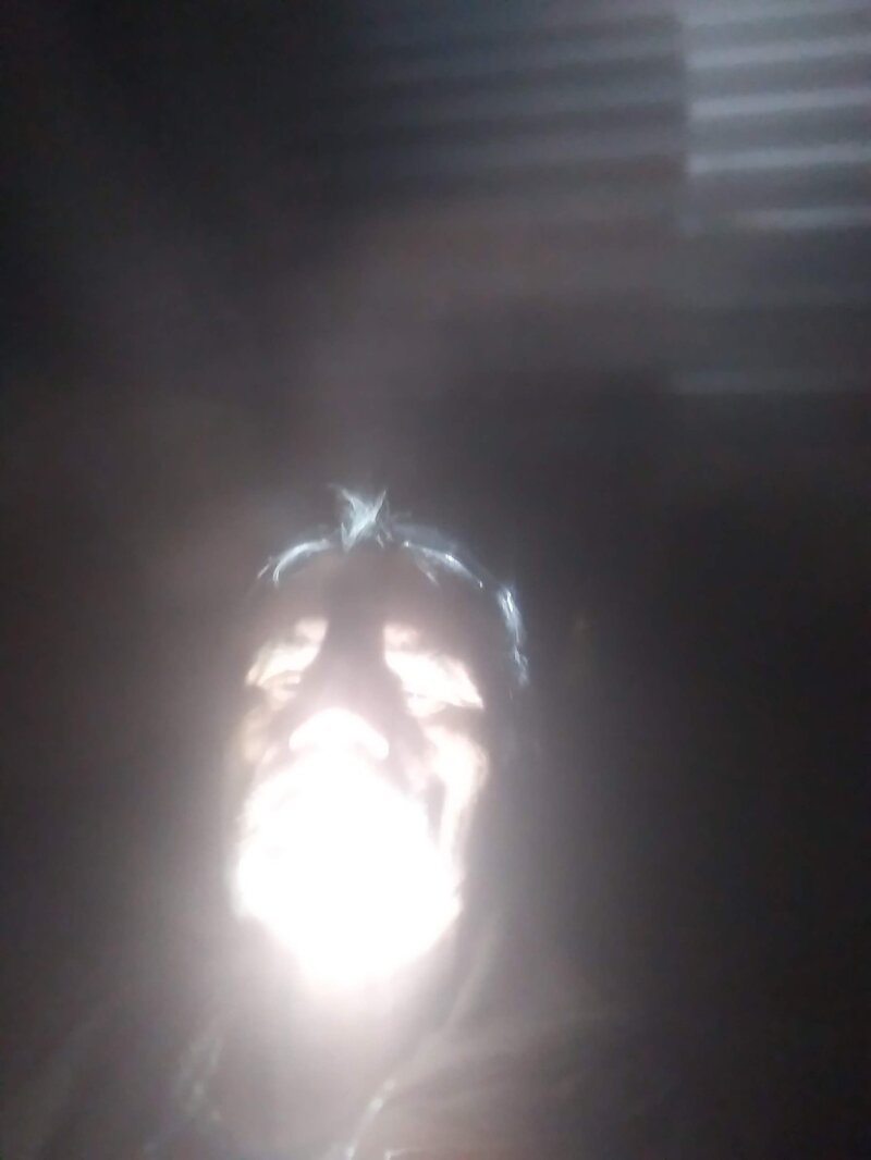 光に目がくらむ picture