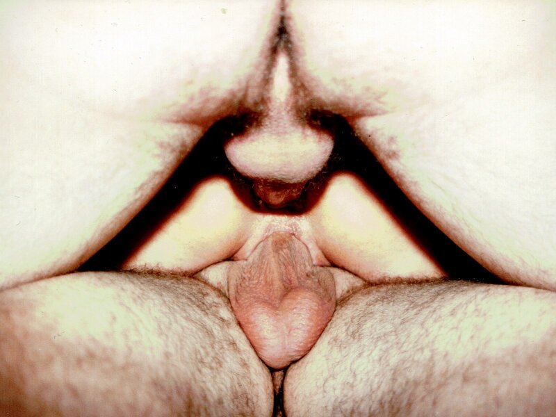 빈티지 DP picture