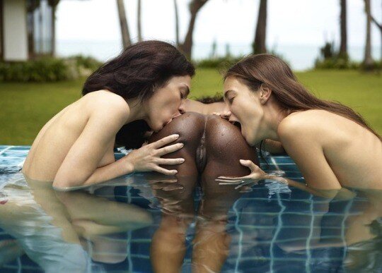 黒檀のお尻 picture