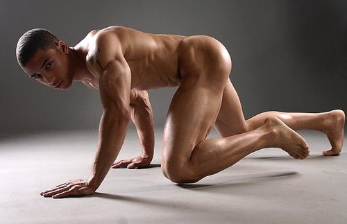 Gay Porn tube gay seks, gay pornosu, gay videoları, gay canlı sohbet, gay streaming filmleri içeren en sıcak ücretsiz gay video sitesidir. picture