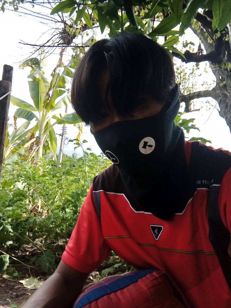 日本人 picture
