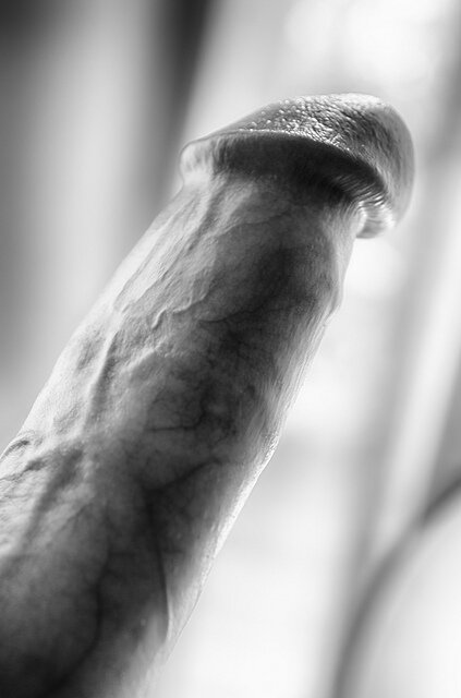 是的，我的公鸡是黑色和白色的。 picture