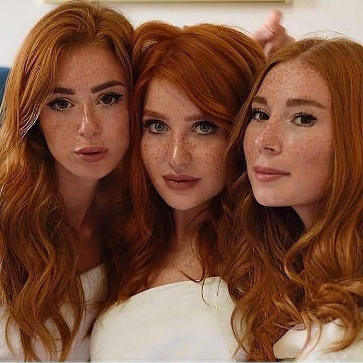 어느 것이 먼저입니까? picture