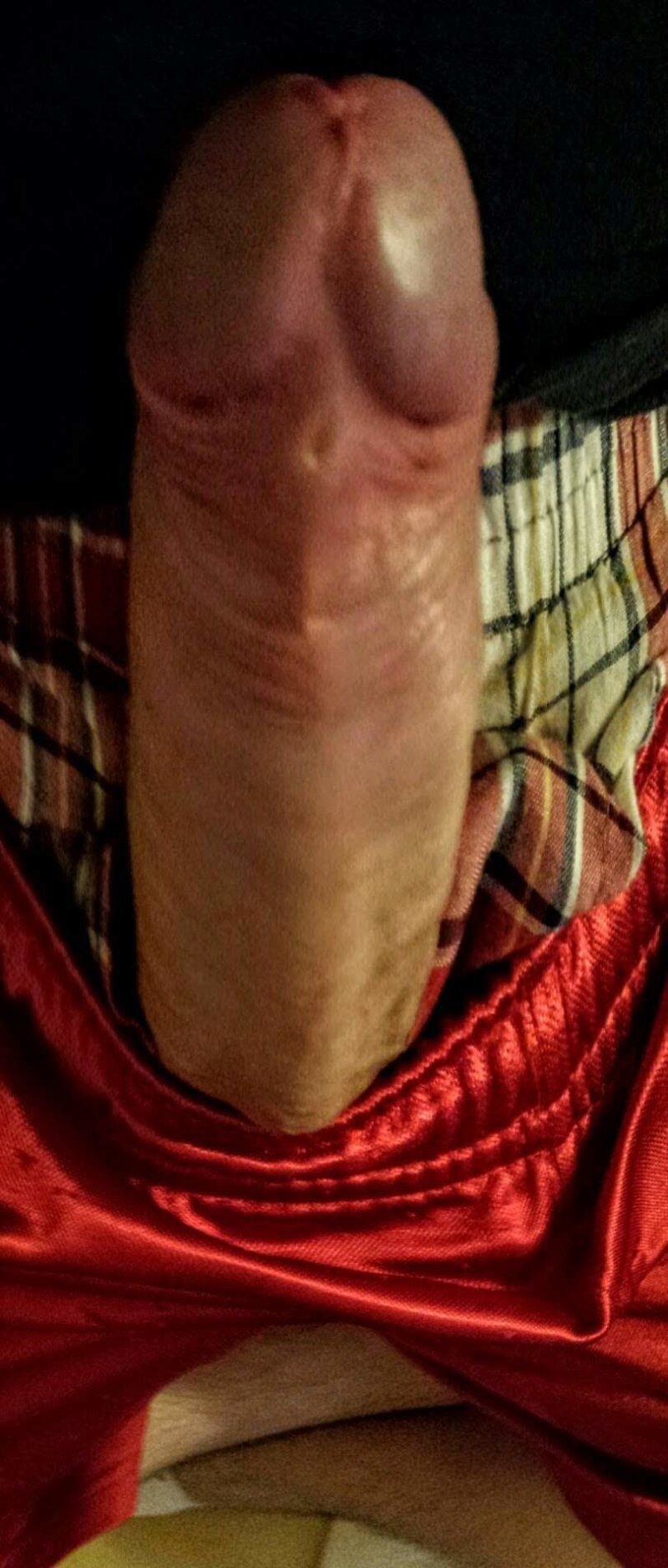 eğer seksi bir kadınsanız gel ve sikimi yala ... picture