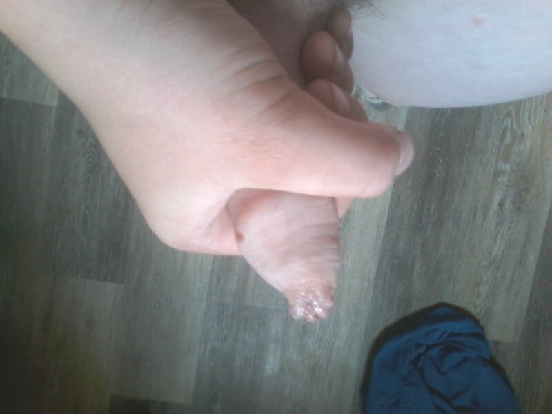 迪克 picture