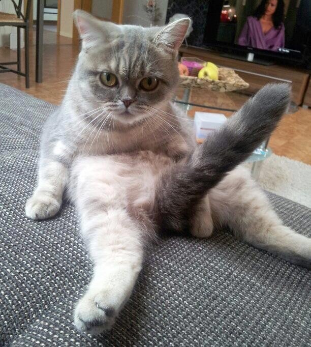 面白い写真 picture