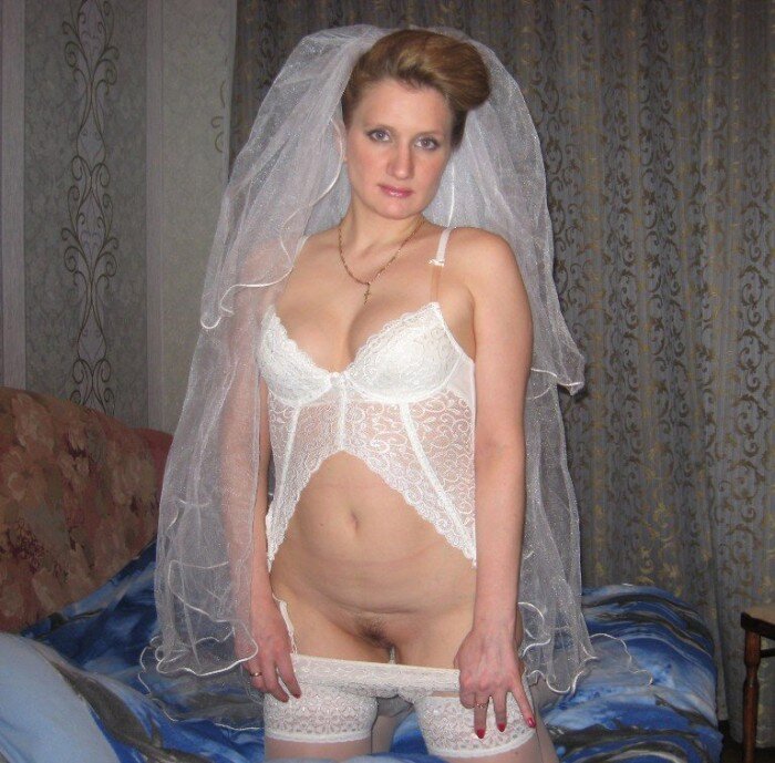 素晴らしい猫の写真の素敵なクーガー picture