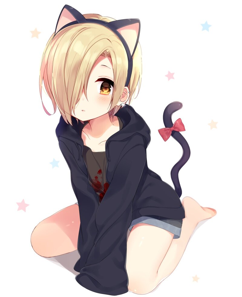 Cute kitty picture