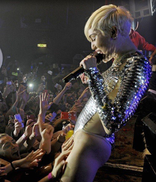 miley cyrus kedi grab konser picture