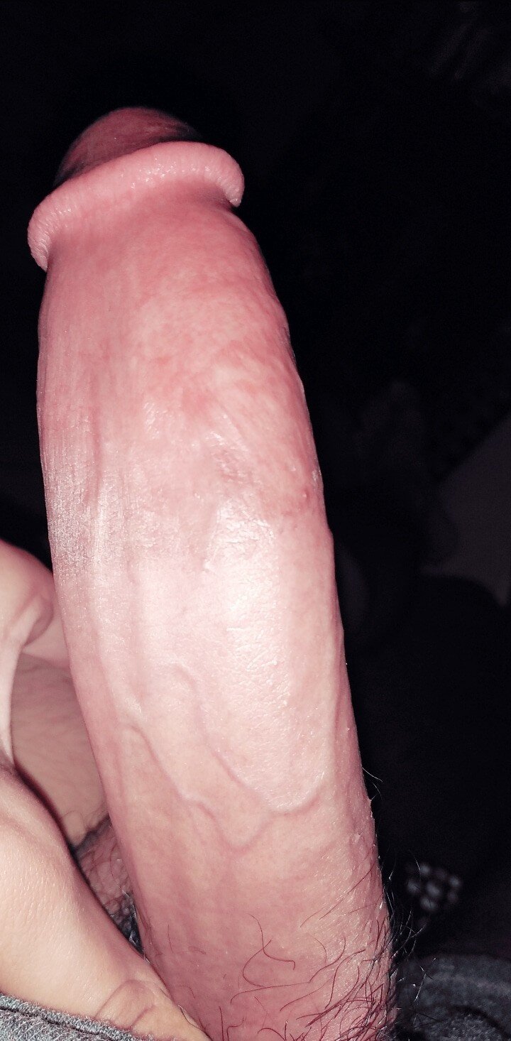 拉丁完美的大公鸡 picture