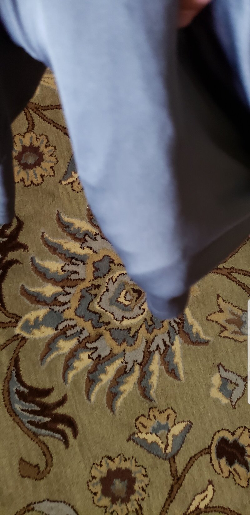 我把雄伟的大公鸡喂给渴望的荡妇和他妈的宠物。 picture