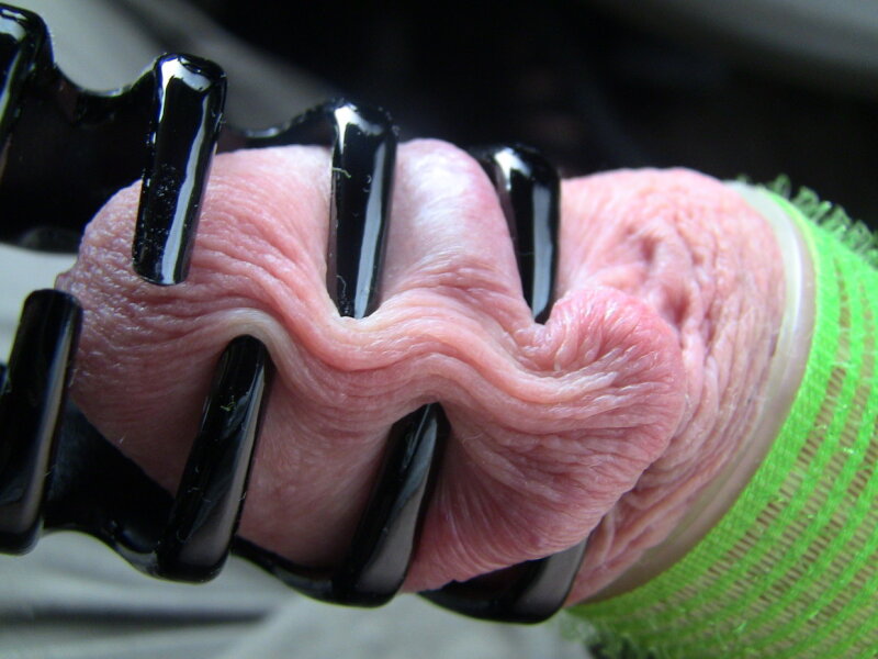 シャコガイコック picture