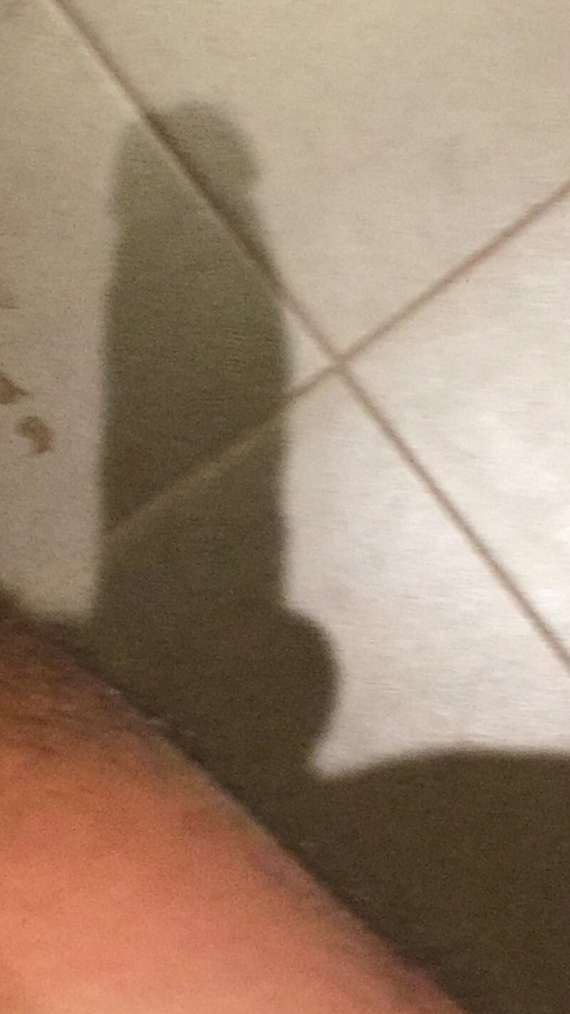 一个可爱的家伙的大公鸡 picture
