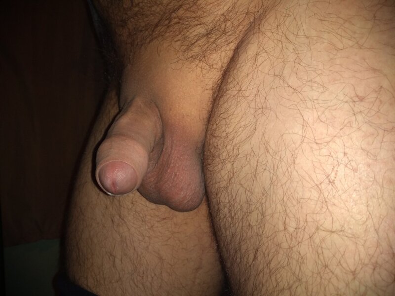 开始表演剃毛球和惊讶的家伙 picture