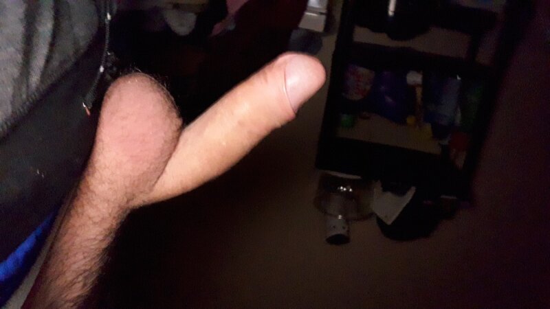 Güzel horoz picture