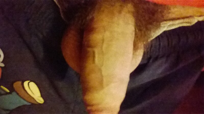 penisim picture