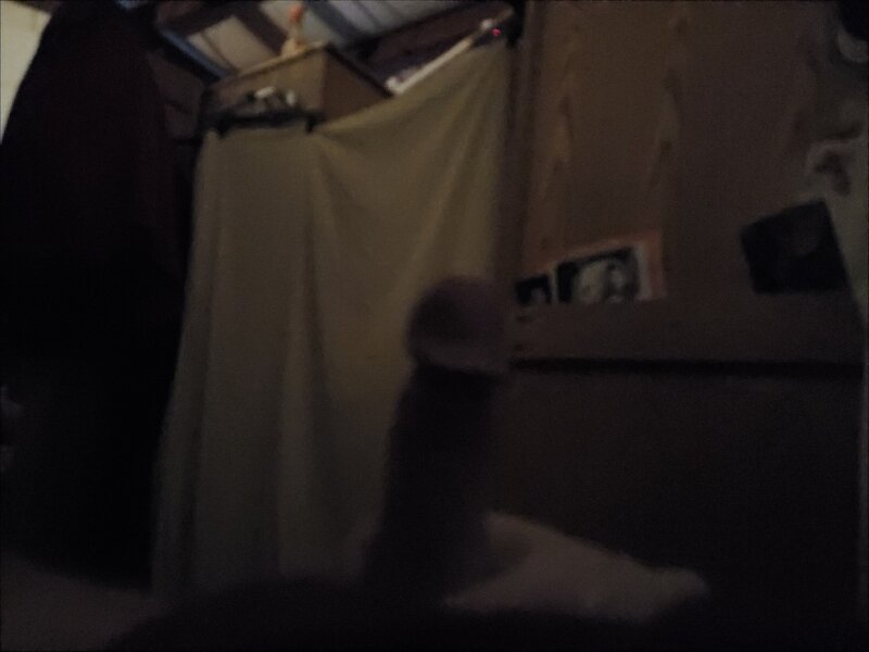 ペについて考える picture