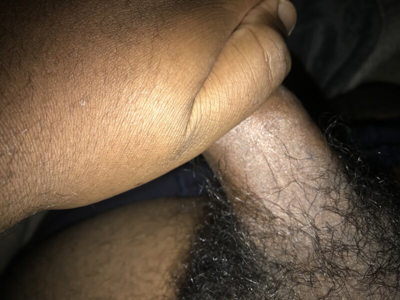 需要一些猫吗？？？ picture