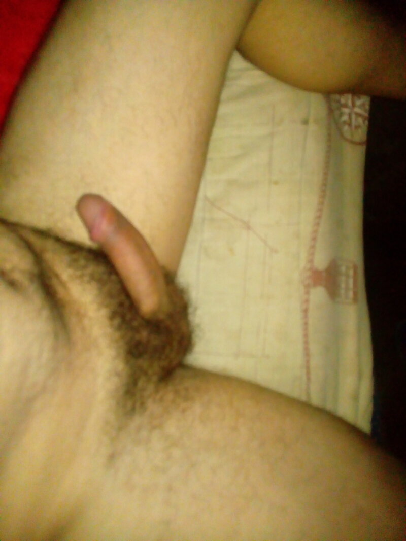 阴茎 picture