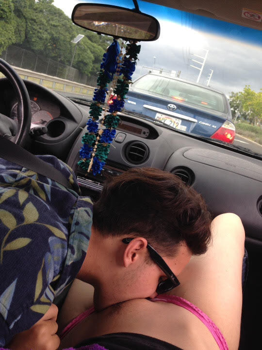 猫在车里舔 picture