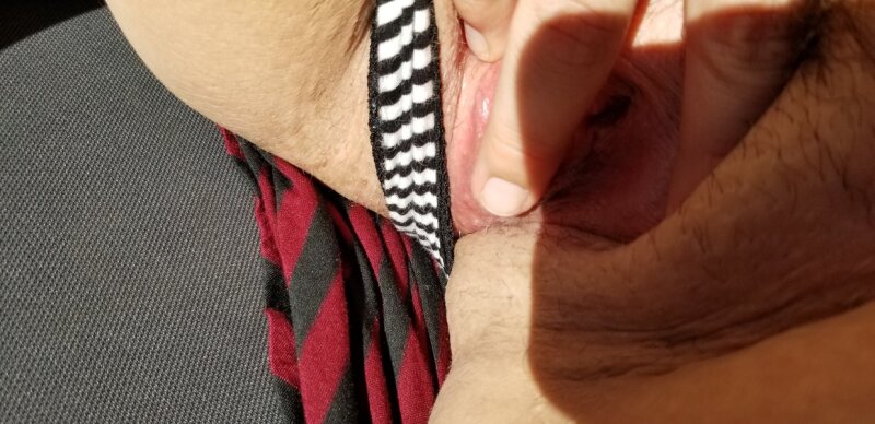 车猫 picture