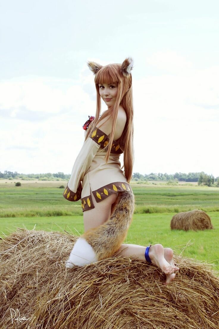 귀여운 작은 여우 picture