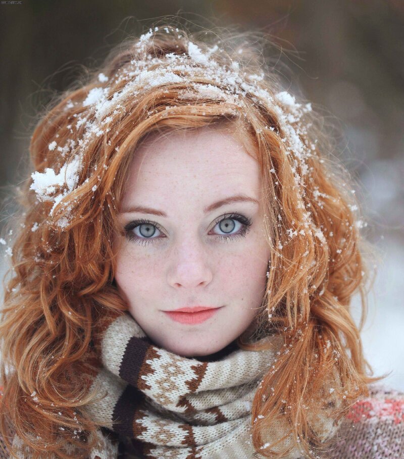 雪の美しさ picture