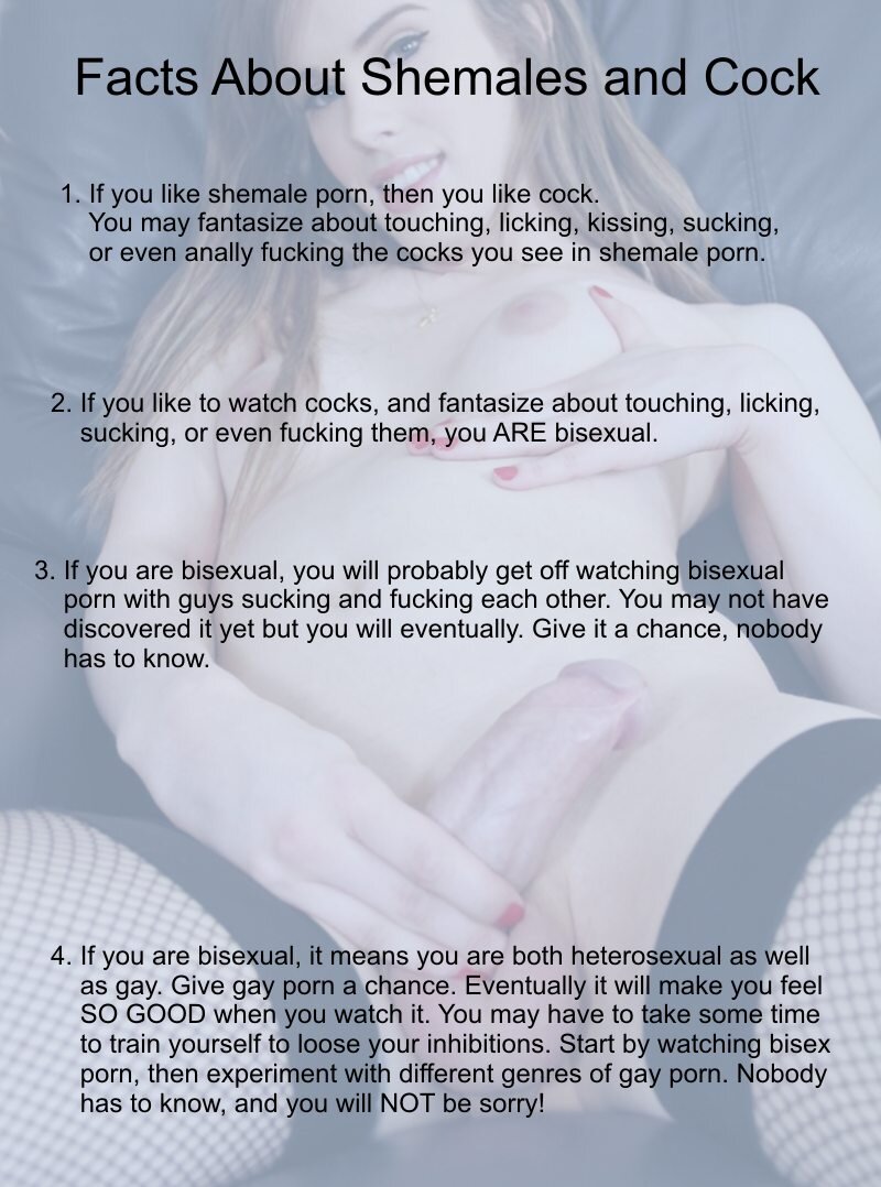 关于人妖和公鸡的事实 picture