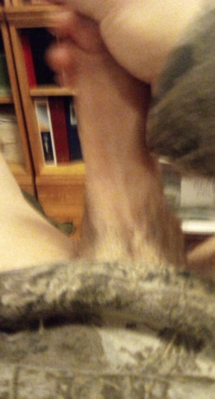 偽の妻を切望する私 picture