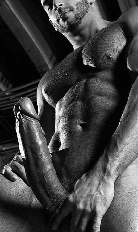 今朝、彼が巨大なばかげた人と目覚めたとき、ホルヘは彼が今夜結婚した英国の猫とセックスすることを想像していませんでした picture