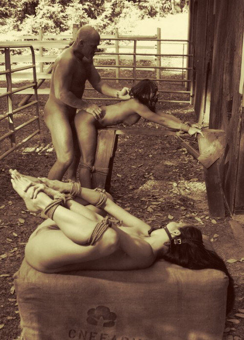 フェルメ picture