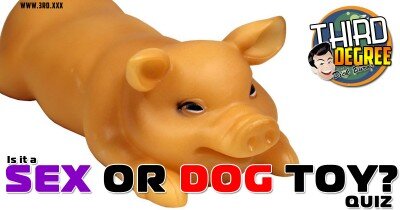 犬のおもちゃまたは大人のおもちゃ-わかりますか？ picture